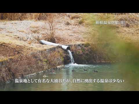 Hakone Heritage Video Collection long ver   Sengokuhara