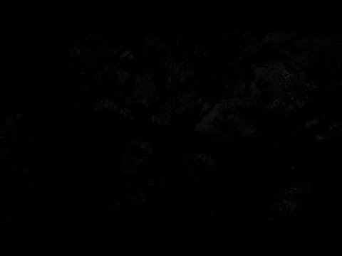 Farcry 5 [Game Play] Walk Through Pt.24 The Cleansing