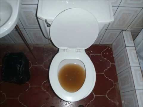 gg allin piss on Gg allin piss on