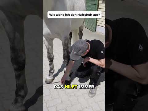 Hufschuh ausziehen