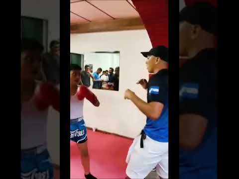 NEMESIS FIGHT NIGHTS