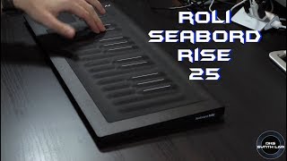 Video thumbnail for Roli Seabord Rise 25 | No Talking | by DKS SYNTH LAB