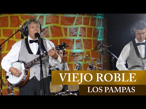 VIEJO ROBLE / LOS PAMPAS