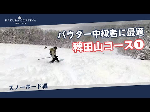 Video: 白馬コルチナのコース紹介【稗田山コース①】パウダー中級者に最適 #snowboard #hakuba #スキー場
