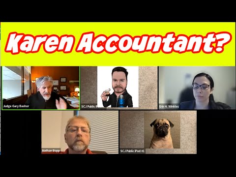 Alleged Karen Accountant In Court!