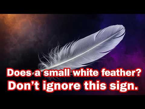 Small White Feather Appearing? Don't Ignore This Sign