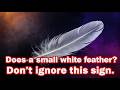 Small White Feather Appearing? Don't Ignore This Sign