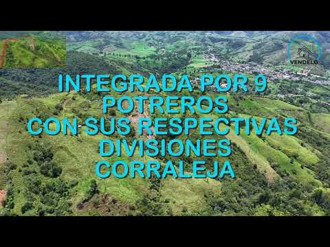 Finca  de 11 Hectáreas a 15 minutos de Frontino Antioquia