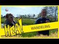 HEA! Een wandeling bij Snikzwaag