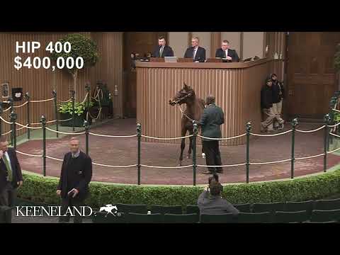 Hip 400 sells for $450,000 at Keeneland January
