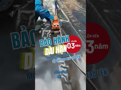 Thi Công Bạt Lót hồ Tôm cho trang trại Tuấn Hiền tại Tiền Giang