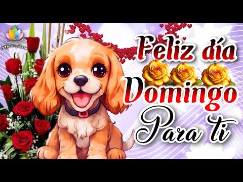 Domingo de descanso BUENOS DÍAS Mira el video mas bonito del día domingo #Motivarte11