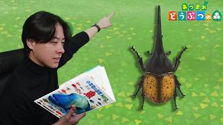 本物の図鑑で行くあつもり‼ ＃39【あつまれ どうぶつの森】