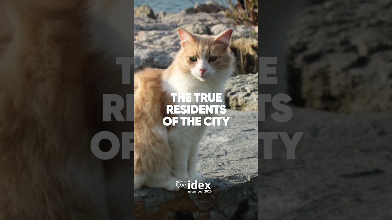On World Animal Day (October 4), we remember the city’s true residents. See you at IDEX Istanbul 2026. 🐈