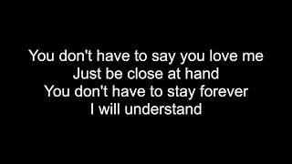 YOU DON`T HAVE TO SAY YOU LOVE ME | HD With Lyrics | By Chris Landmark