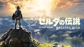 テスト配信