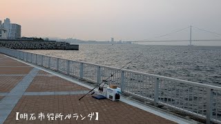明石の釣り動画　明石海浜ベランダ