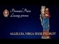 Alleluia, Virga Jesse Floruit | Gregorian Chant | Perennial Praise