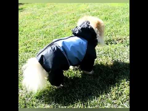 Дождевик для собак c капюшоном 21х27 см синий - фото 1 - id-p763053024