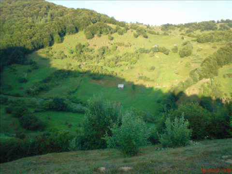 Un banatan la bichigiu