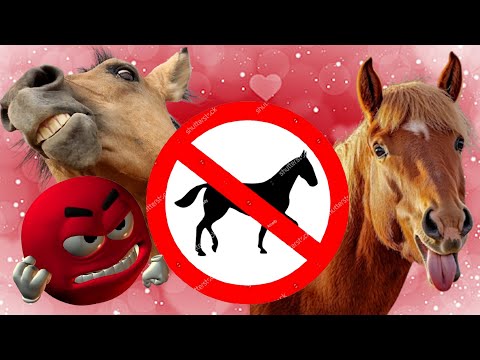 The anti-horse community in Germany is taking a hard line