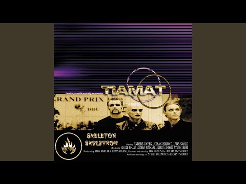 To Have and Have Not