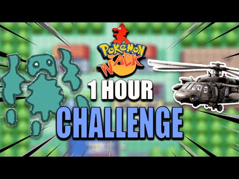 I Spent 1 HOUR in Pokemon Wack and this is what happened..