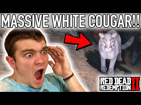 ALBINO CAVE COUGAR! Red Dead Redemption 2 Pt.31 - Kendall Gray