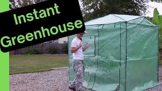 Winter Garden Protection: A Pop-Up Greenhouse!