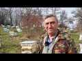 Данчо Духалов разказва как е започнал с пчелите, по колко продава меда и колко трябва да струва.