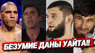 БЕЗУМНЫЙ ГОД ДАНЫ УАЙТА: Как Хамзат и Алекс стали выше правил, оставив Анкалаева ни с чем»