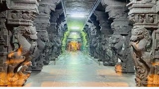 tirunelveli nellaiappar kovil Golu Collections full video in first time in youtube