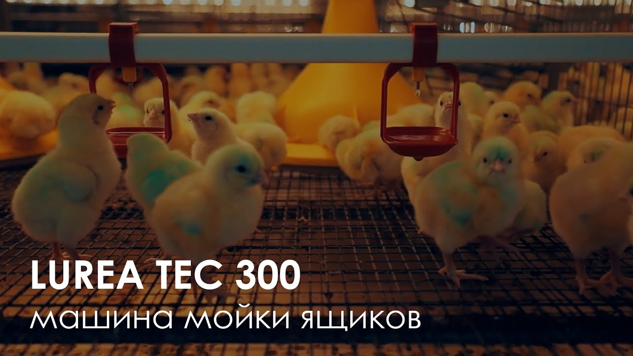 Машины мойки ящиков FELETI LUREA TEC 300