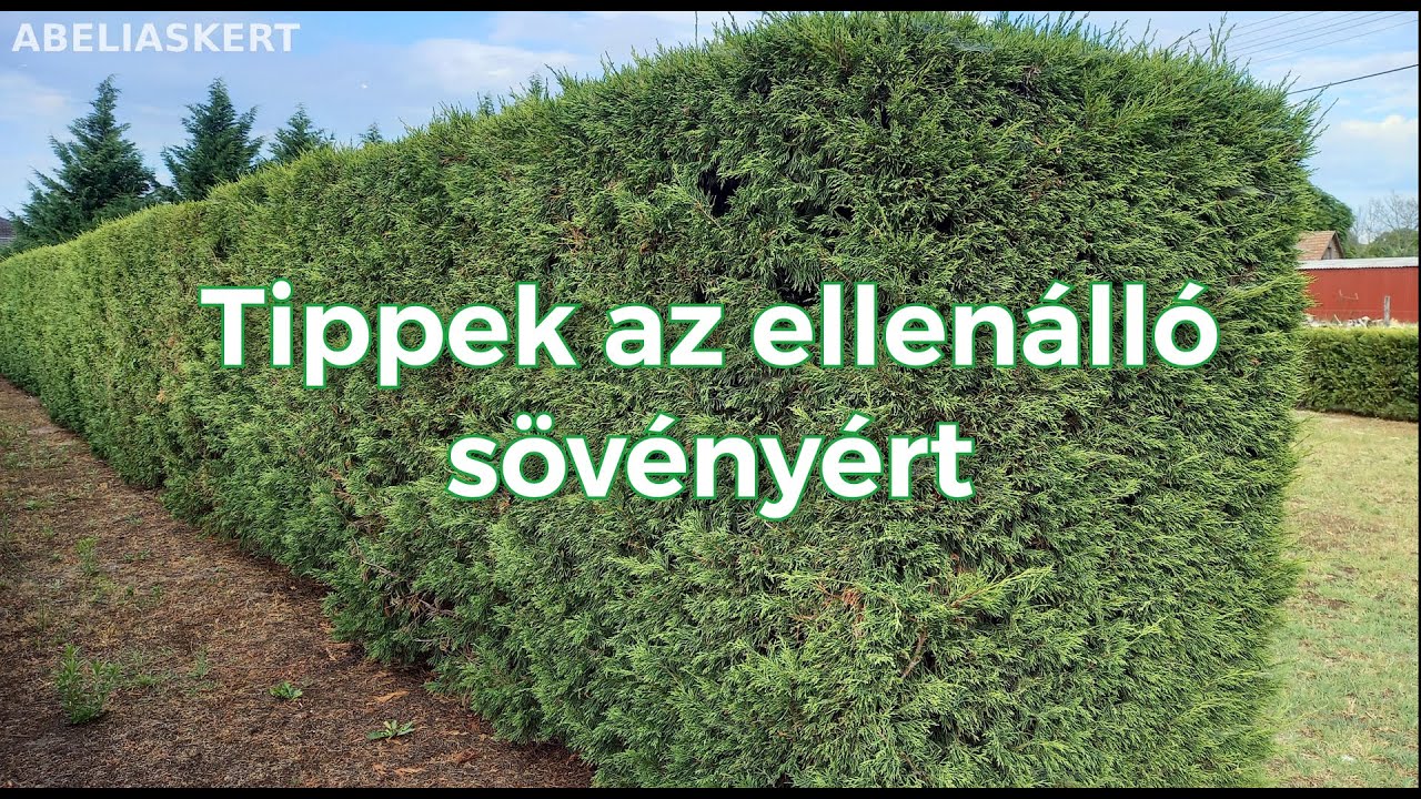 Tippek az ellenálló sövényért.