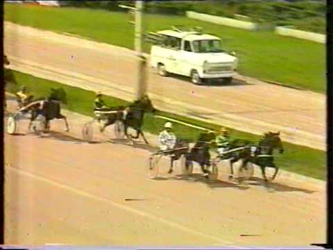 Preis der Stadt Wien 1989, 1. Vorlauf - Chrissie E / Konrad Spaderna