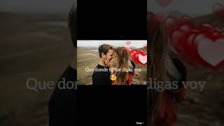 ME VOY ENAMORANDO - Chino y Nacho - Letra 😜