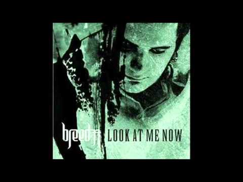 Breed 77 - Zombie (Cover)