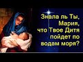 Mary did you know? Знала ль ты, Мария 