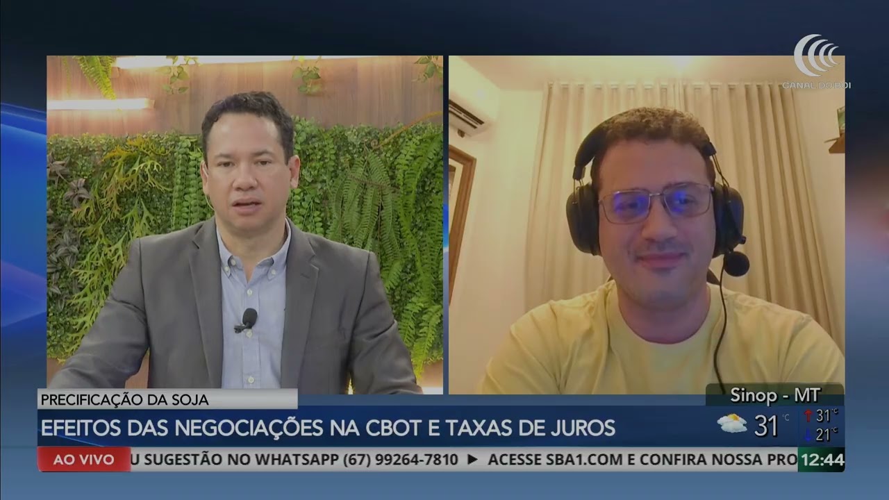 Soja encerra semana com preços em alta no mercado brasileiro