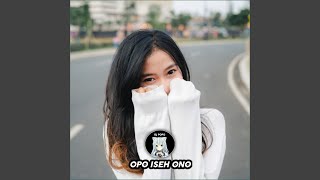 Download lagu Opo Iseh Ono mp3