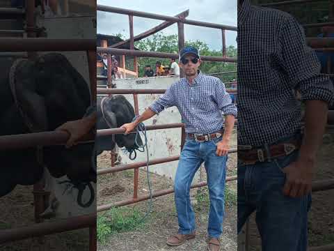 teustepe boaco nicaragua.