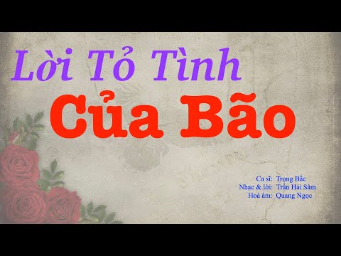 Lời tỏ tình của Bão Sheet - Trọng Bắc