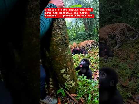 I FOUND A CRYING BABY GORILLA AND EVERYTHING CHANGED