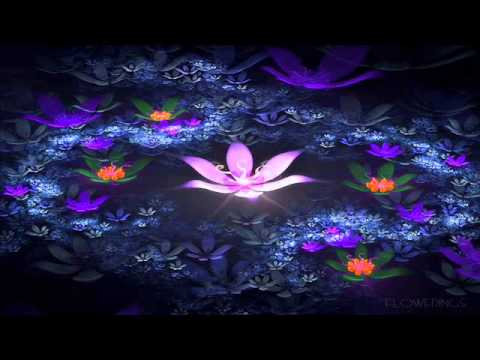Shogun - Lotus (Original Mix)