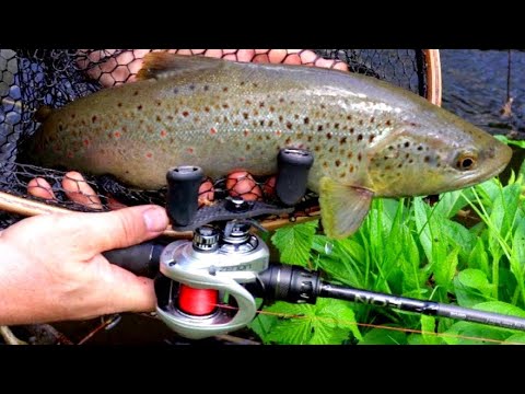 Nowość! ZENON I EON lekki casting nie tylko na pstrągi