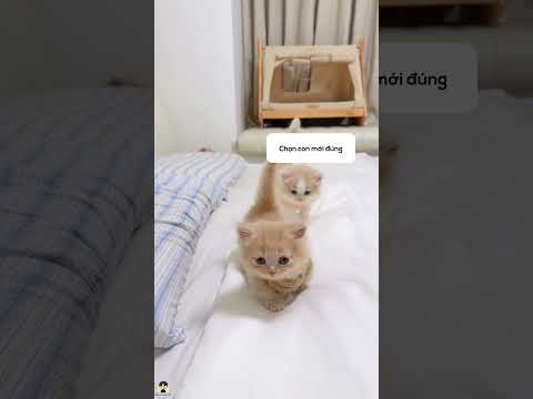 Bị bắt tại trận 🚨📦