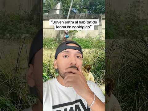 Joven entra al hábitat de una leona #sabiasque #curiosidades #shorts