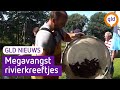 GLD Nieuws 12 juli 2021