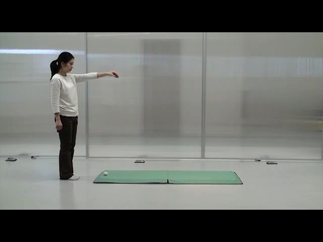 衝撃吸収マット KE-200 650x1800x40mm KE-200 衝撃緩和マットレス (650×1800×40mm) 1個 パラマウントベッド