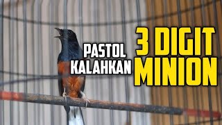 Download lagu PASTOL 1 X MABUNG JUARA DI TIKET UTAMA MOBIL‼️LAWAN BURUNG NASIONAL 🔥 mp3 Download lagu PASTOL 1 X MABUNG JUARA DI TIKET UTAMA MOBIL‼️LAWAN BURUNG NASIONAL 🔥 mp3